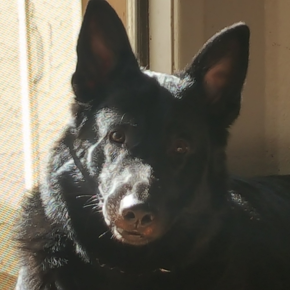 Meet your Posher, Isabel